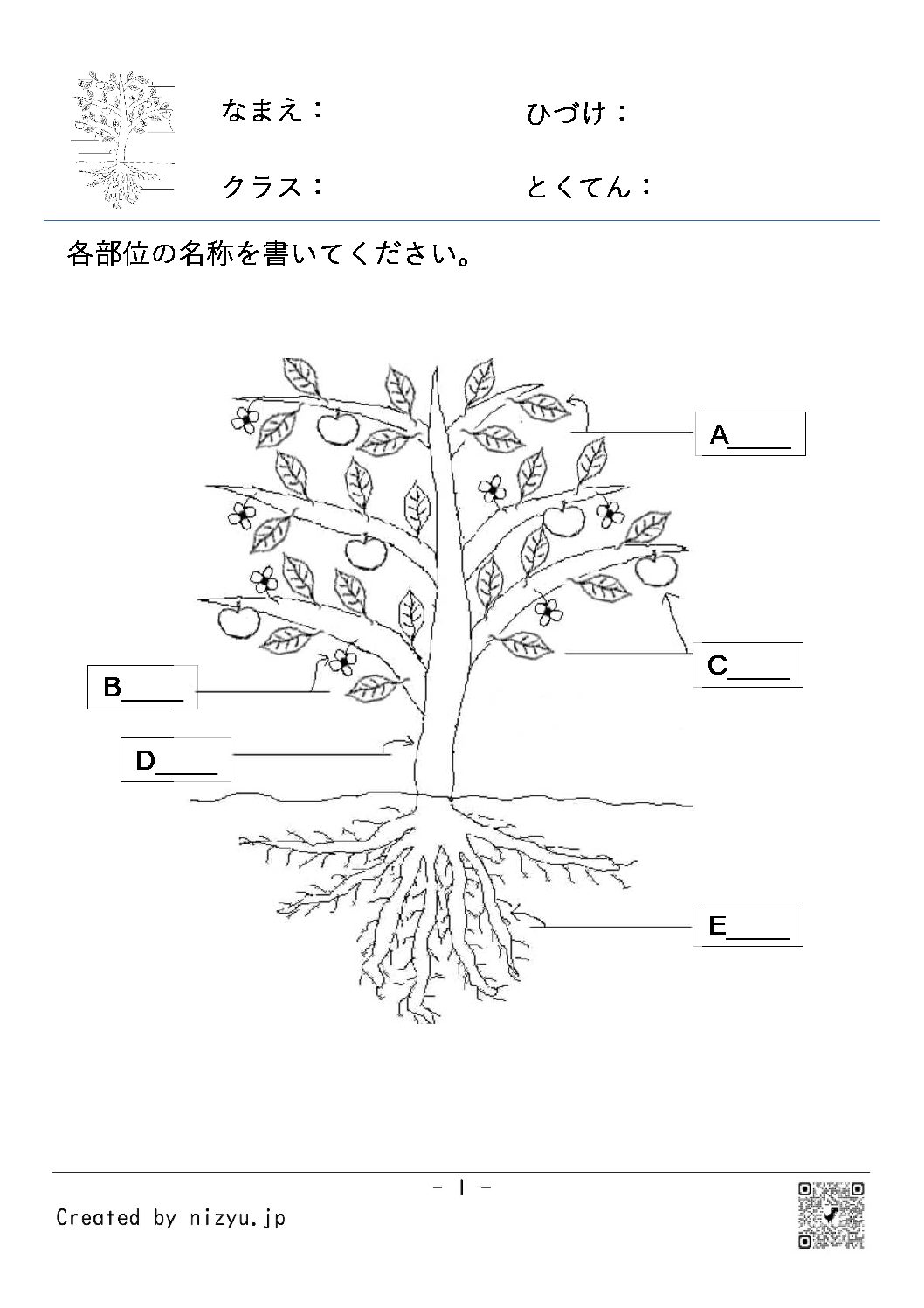 植物　植物部位の名称